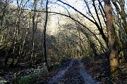 49 Seguo la strada sterrata gippabile